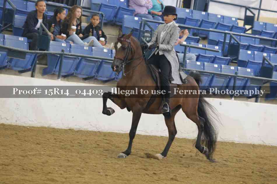 Proof 15R14_04403