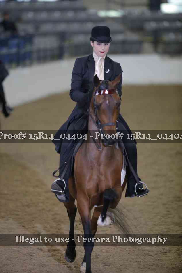 Proof 15R14_04404