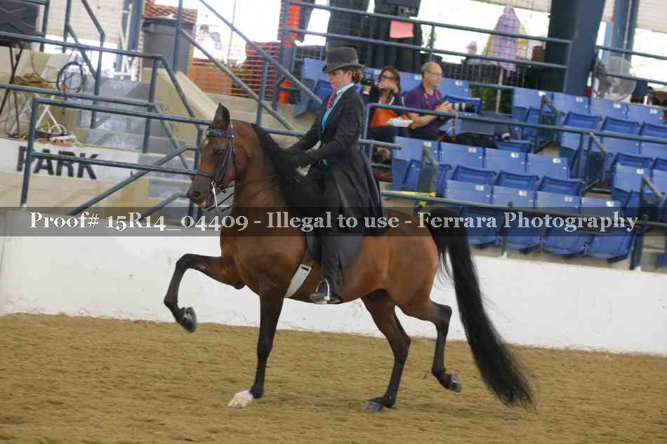 Proof 15R14_04409