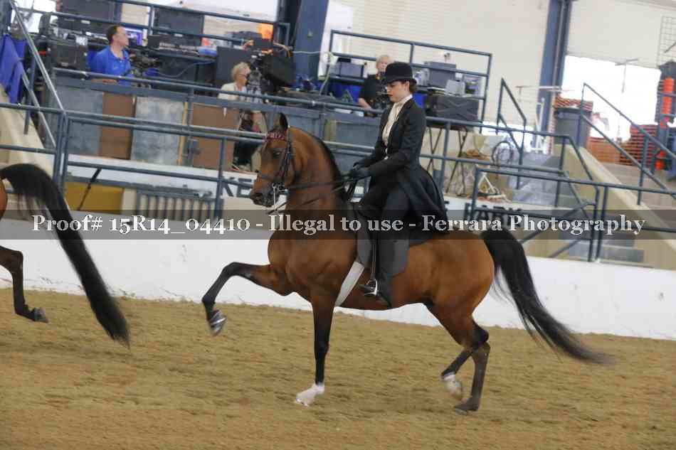 Proof 15R14_04410