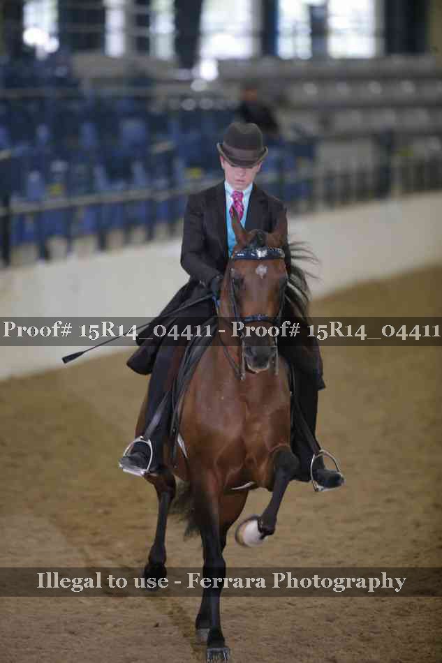 Proof 15R14_04411