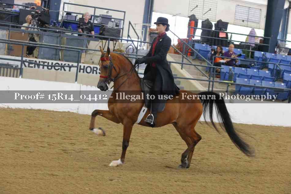 Proof 15R14_04412