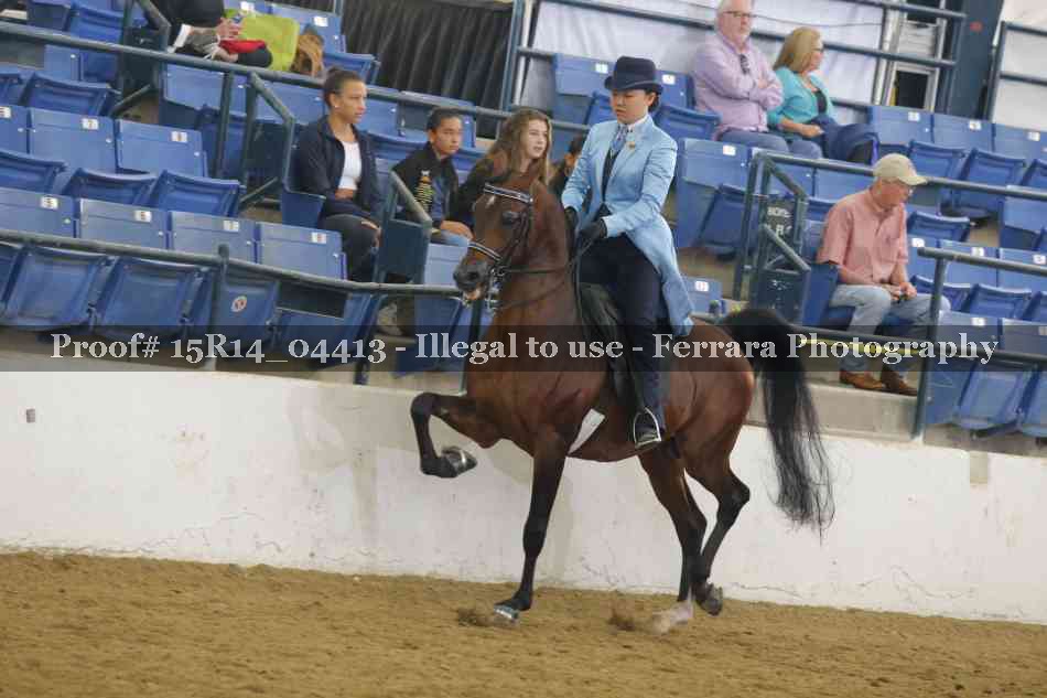 Proof 15R14_04413