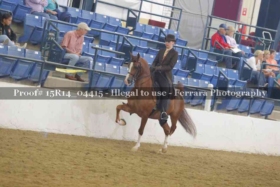 Proof 15R14_04415
