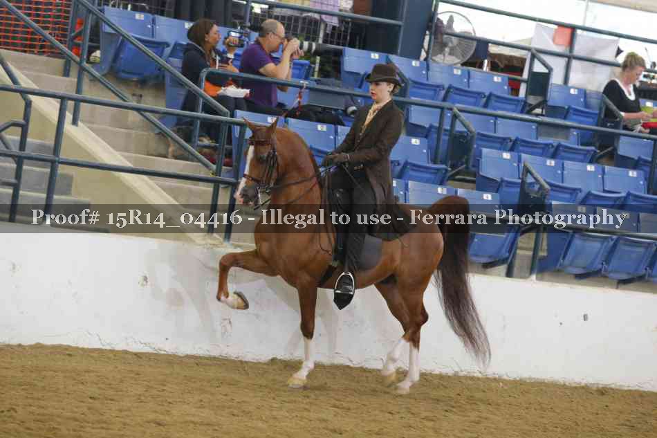 Proof 15R14_04416