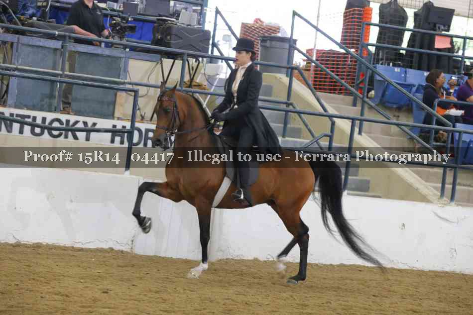 Proof 15R14_04417