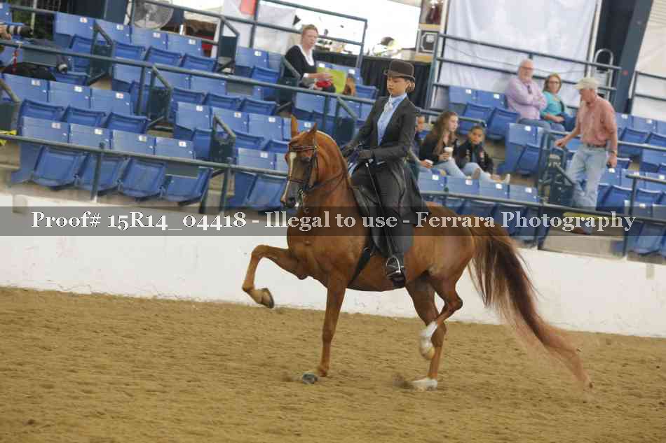 Proof 15R14_04418