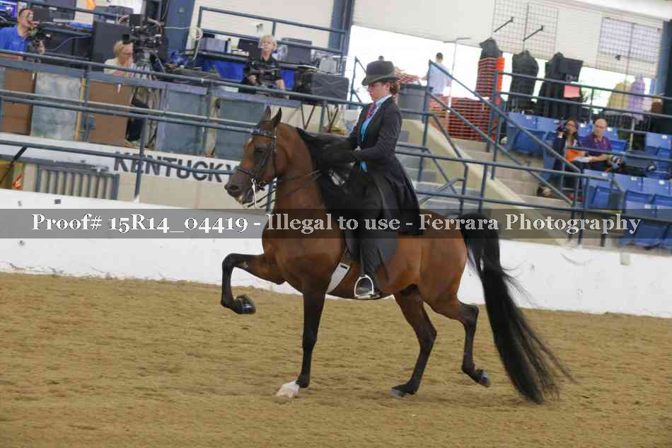 Proof 15R14_04419