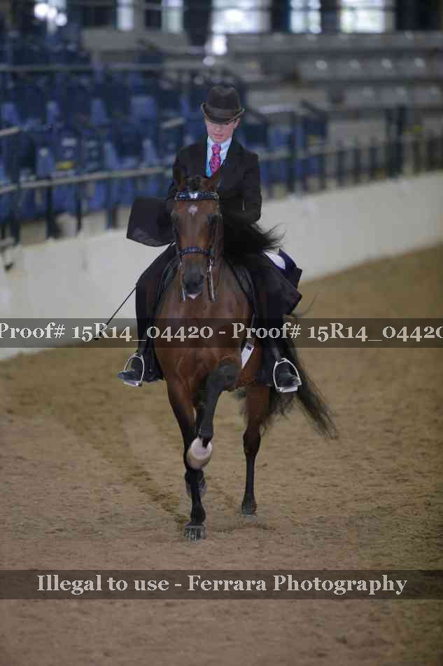 Proof 15R14_04420