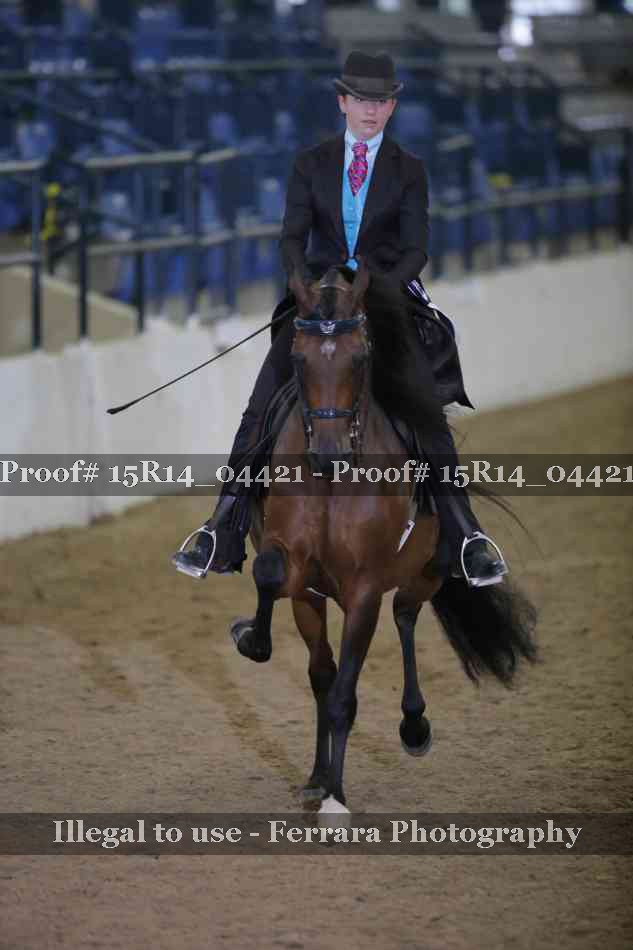 Proof 15R14_04421