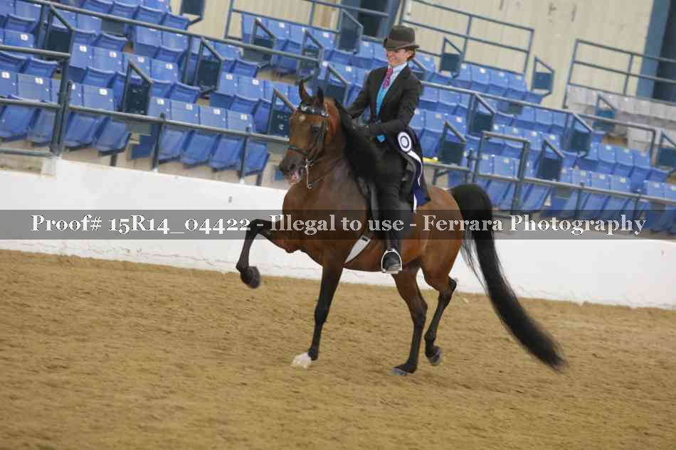 Proof 15R14_04422