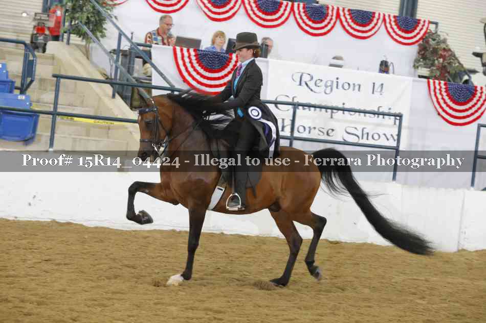 Proof 15R14_04424