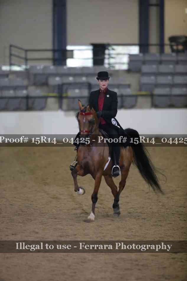 Proof 15R14_04425