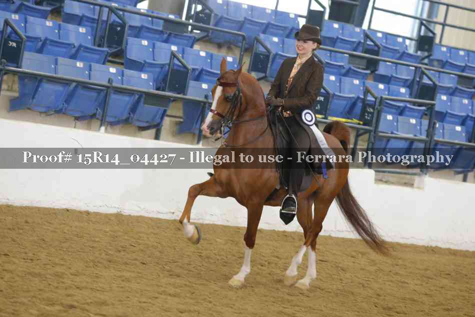 Proof 15R14_04427
