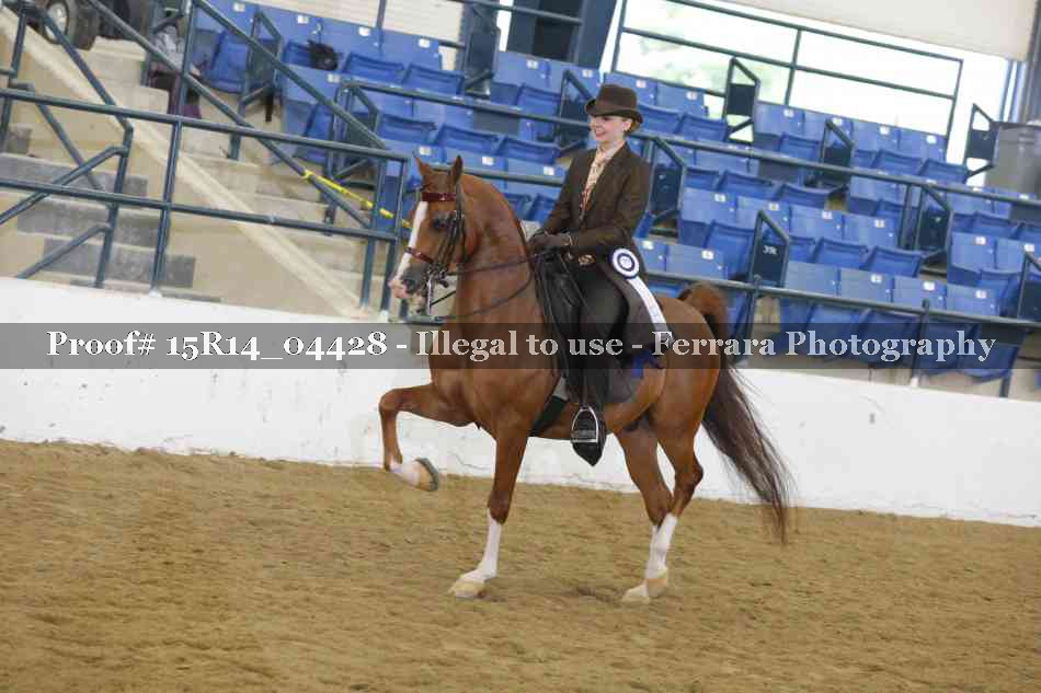 Proof 15R14_04428