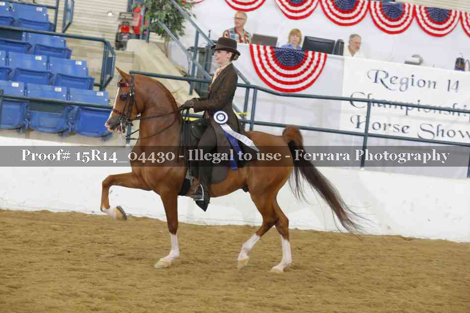 Proof 15R14_04430