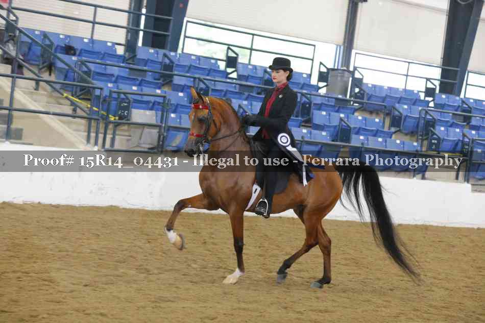 Proof 15R14_04431