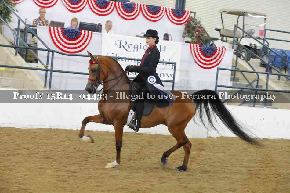 Proof 15R14_04433