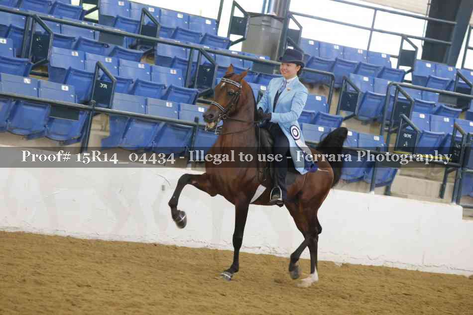 Proof 15R14_04434