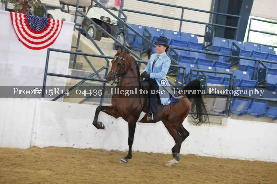 Proof 15R14_04435