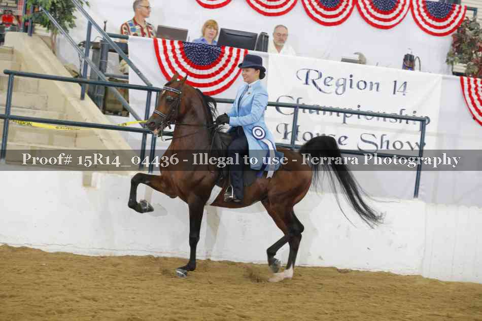 Proof 15R14_04436