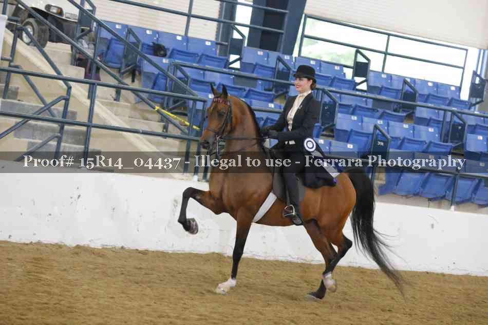 Proof 15R14_04437