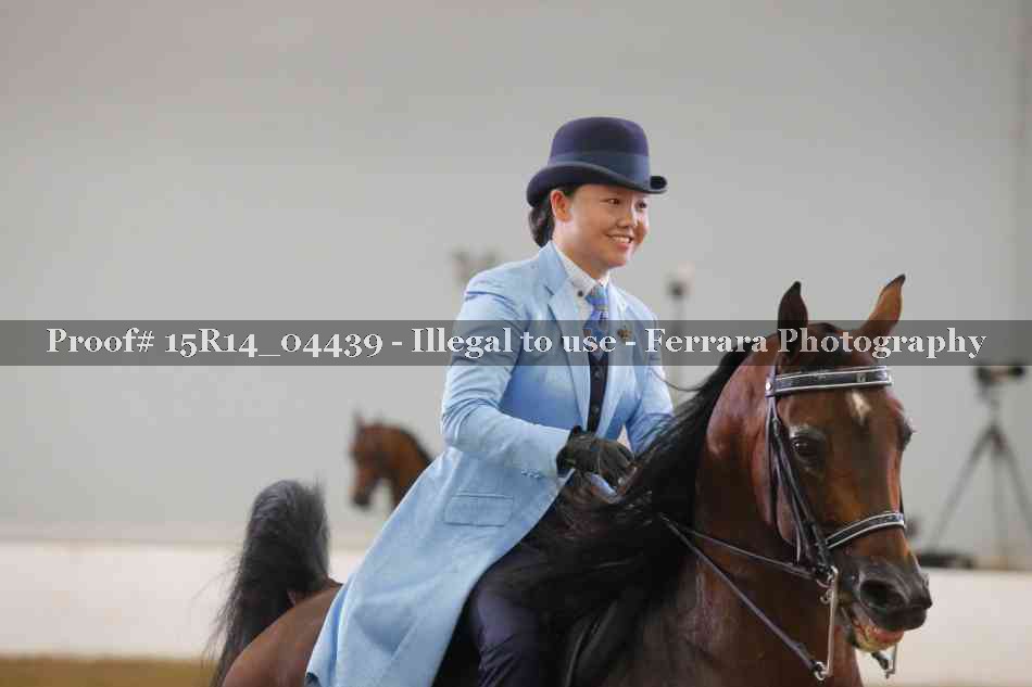 Proof 15R14_04439