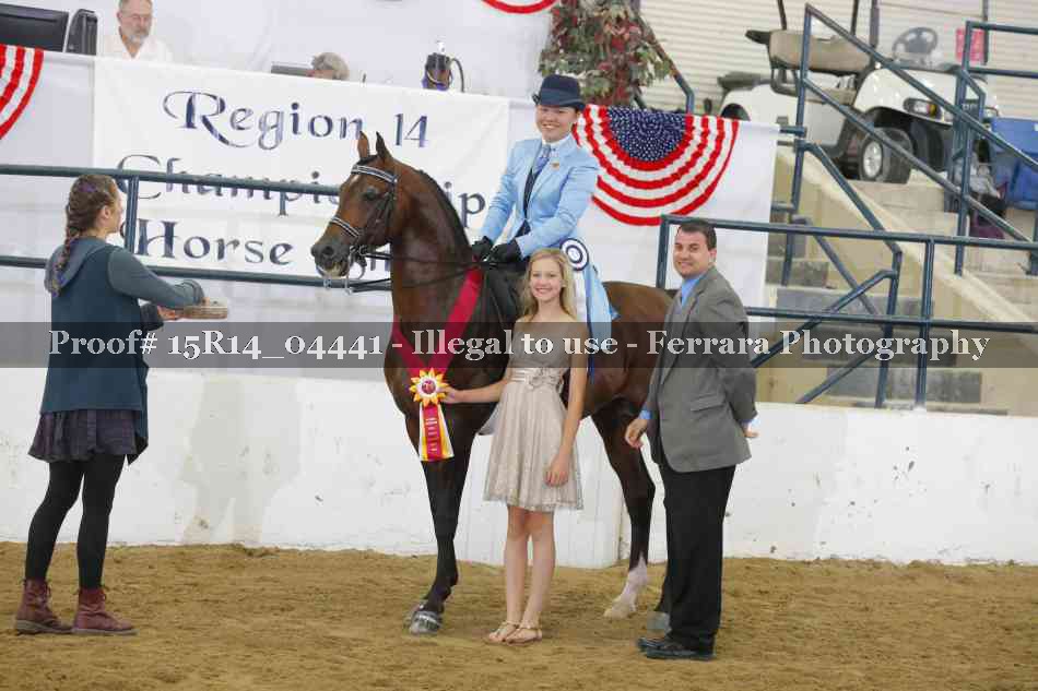 Proof 15R14_04441