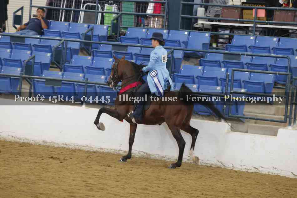 Proof 15R14_04445