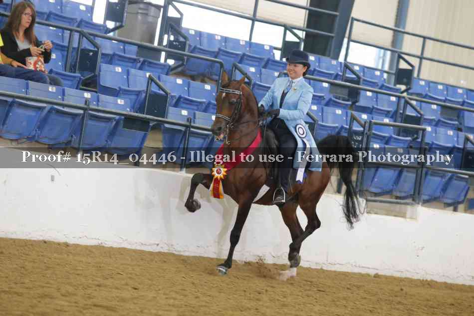 Proof 15R14_04446