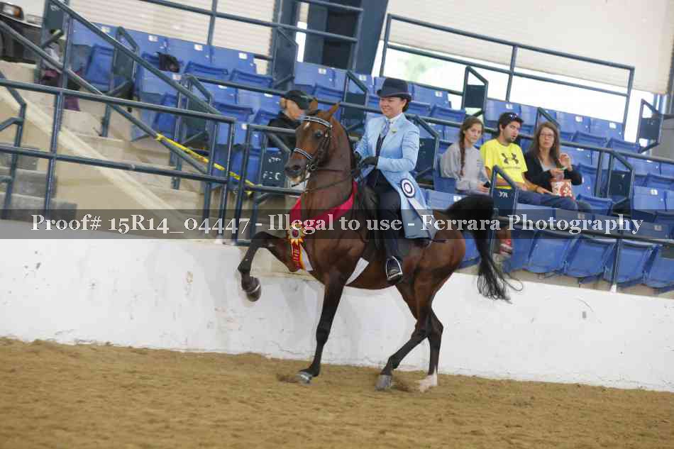 Proof 15R14_04447