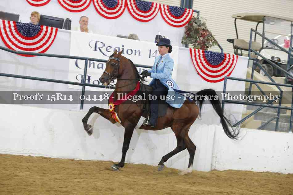 Proof 15R14_04448