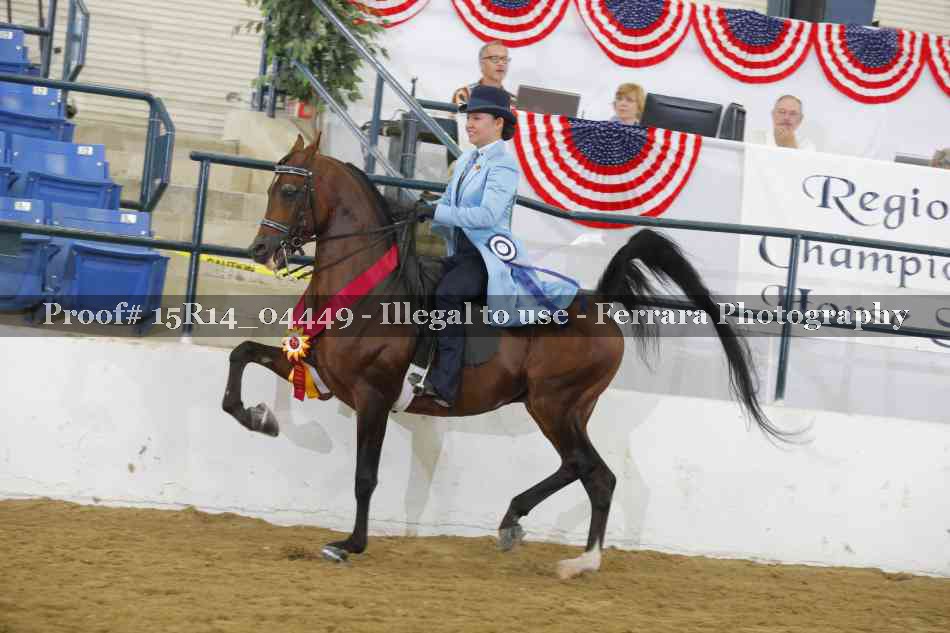 Proof 15R14_04449