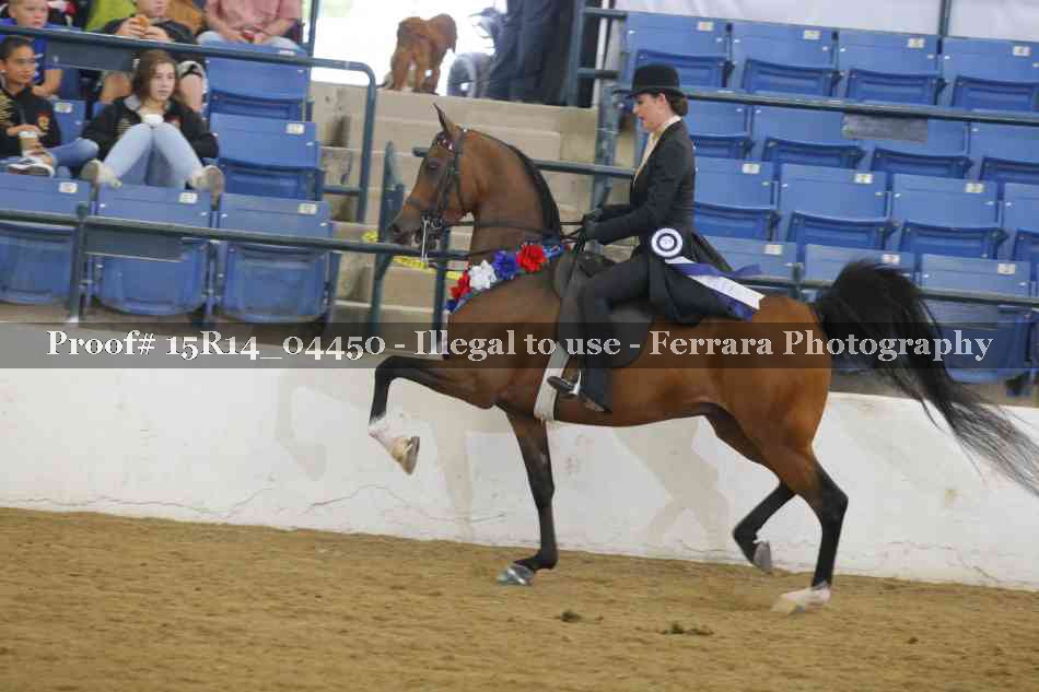 Proof 15R14_04450