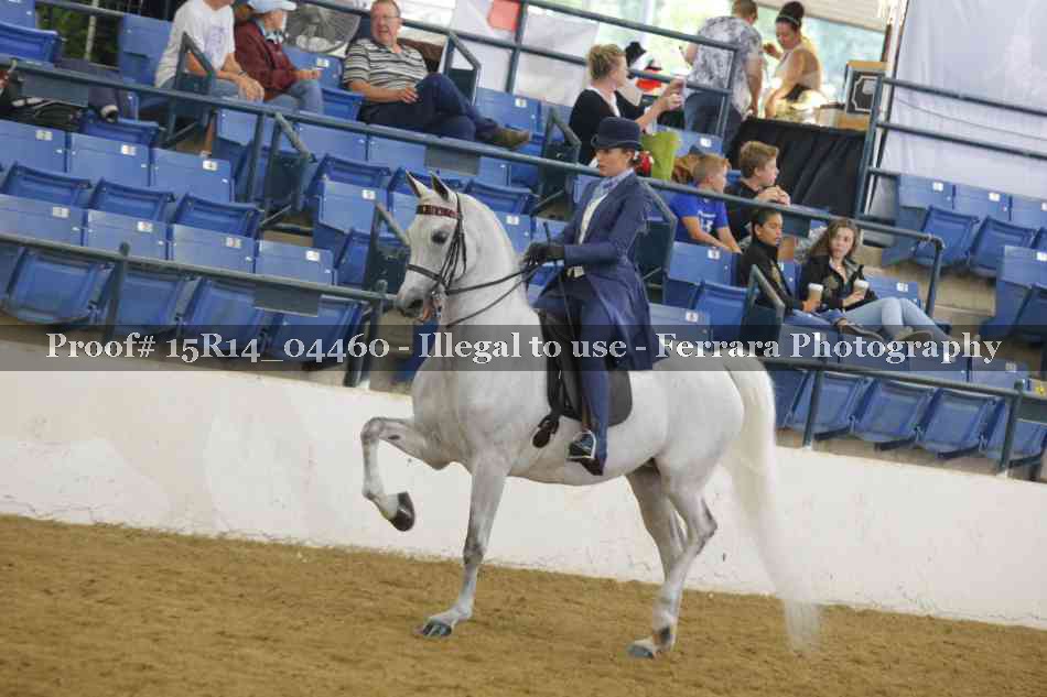 Proof 15R14_04460