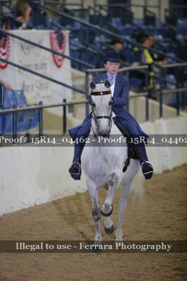Proof 15R14_04462