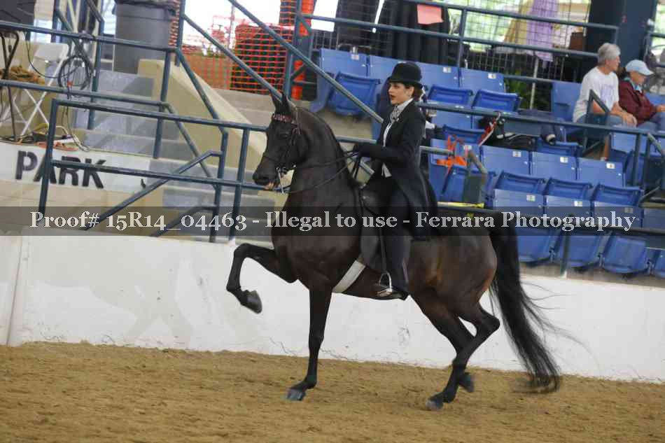 Proof 15R14_04463