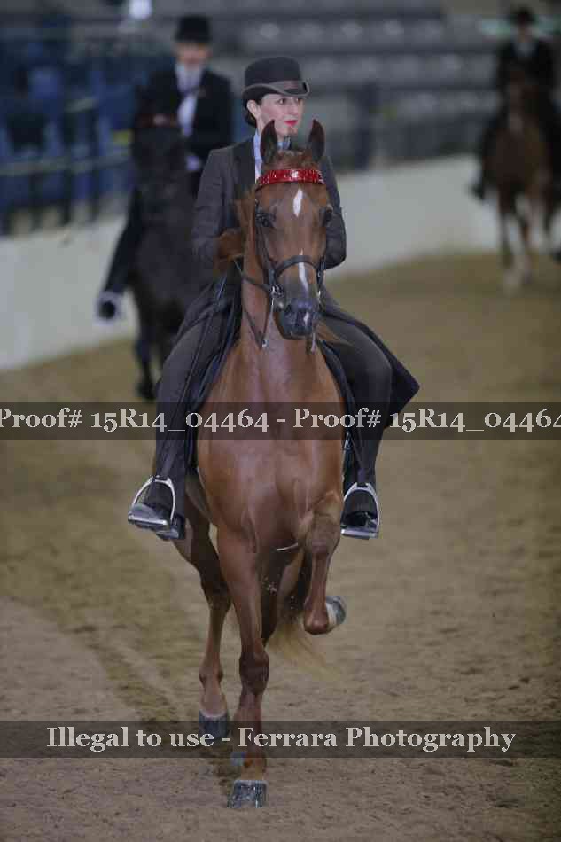 Proof 15R14_04464