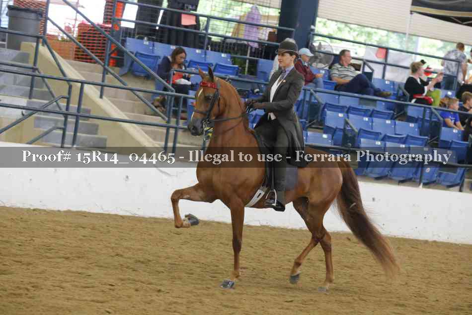 Proof 15R14_04465