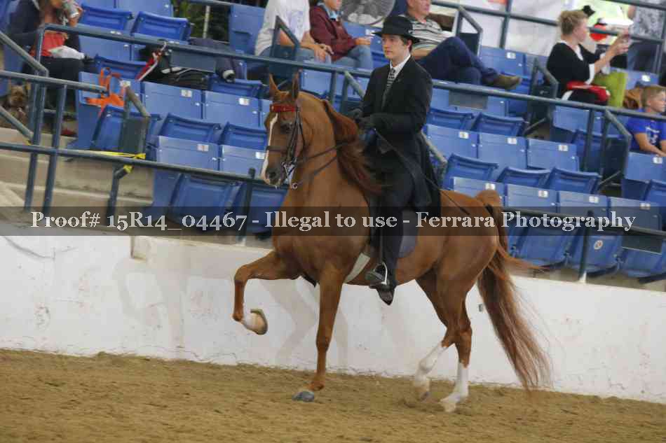 Proof 15R14_04467