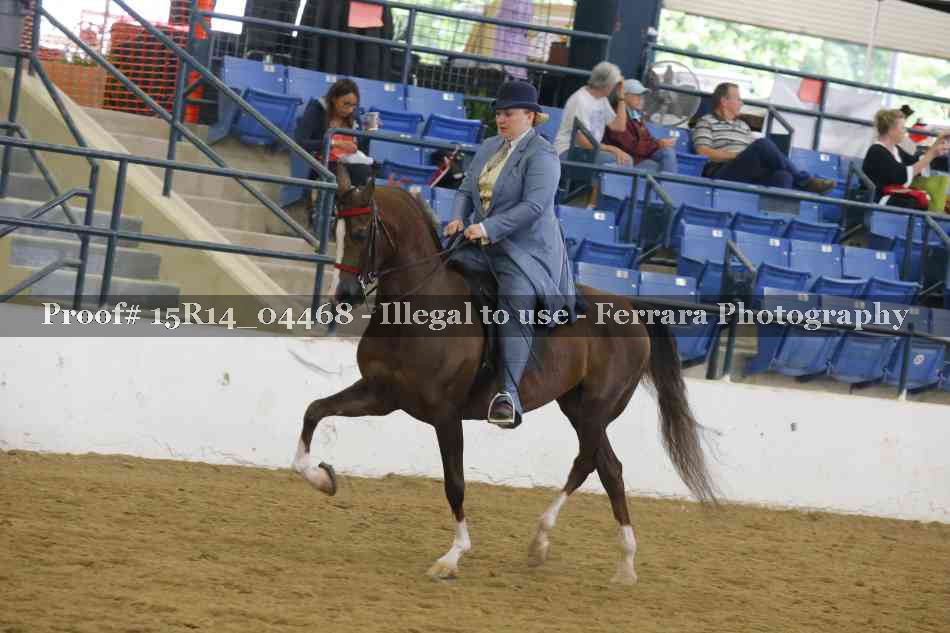 Proof 15R14_04468