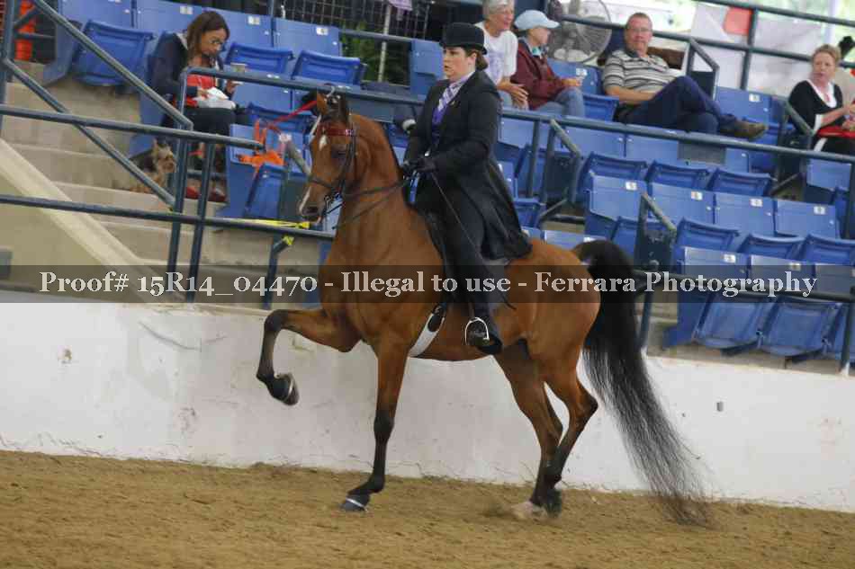 Proof 15R14_04470