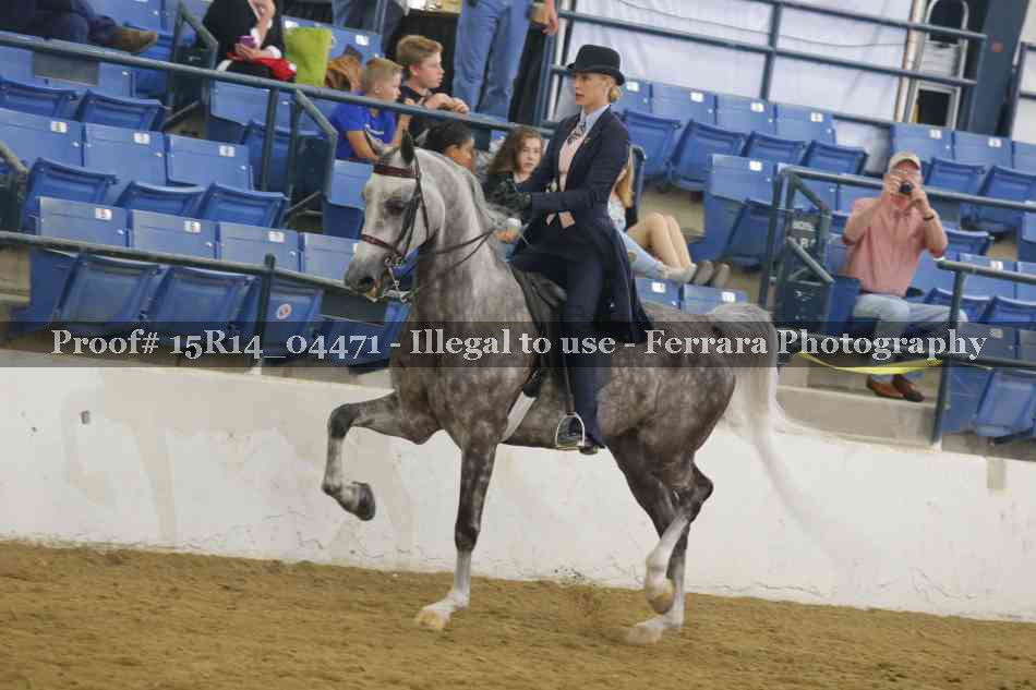 Proof 15R14_04471
