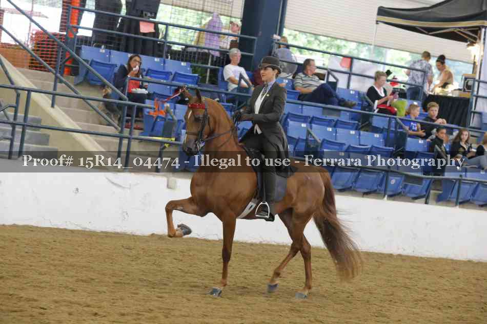 Proof 15R14_04474