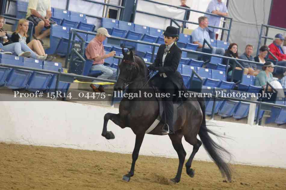 Proof 15R14_04475
