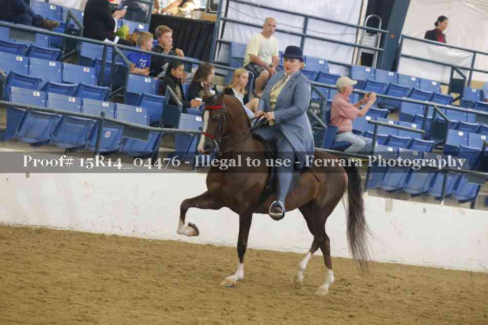 Proof 15R14_04476