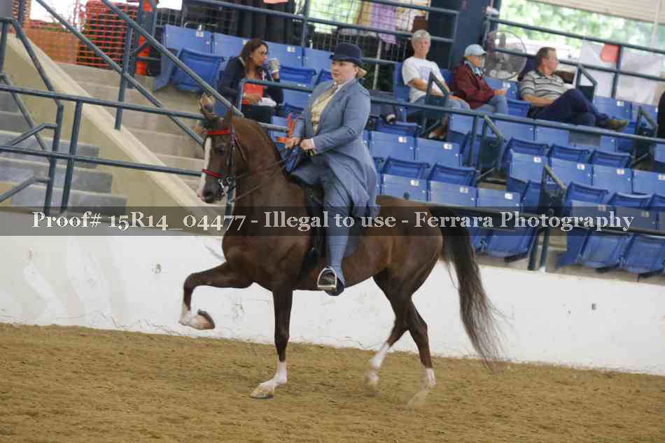 Proof 15R14_04477