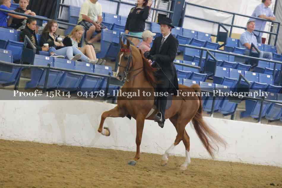 Proof 15R14_04478