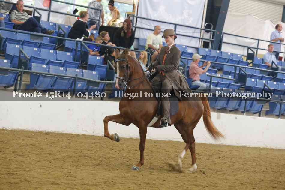 Proof 15R14_04480