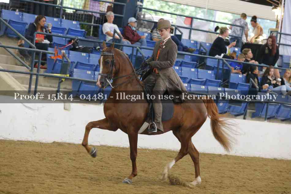 Proof 15R14_04481